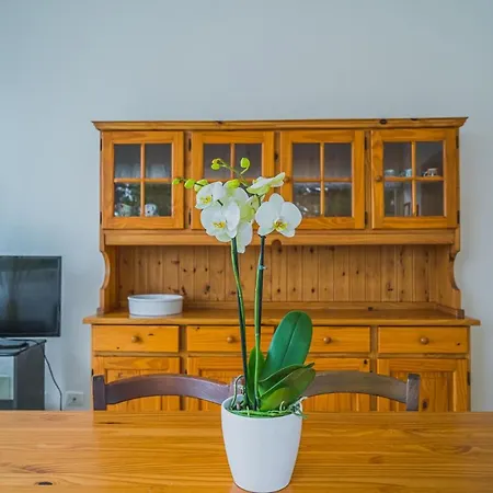 Ariel Vicino La Spiaggia Di Straccoligno * Capoliveri (Isola d'Elba)