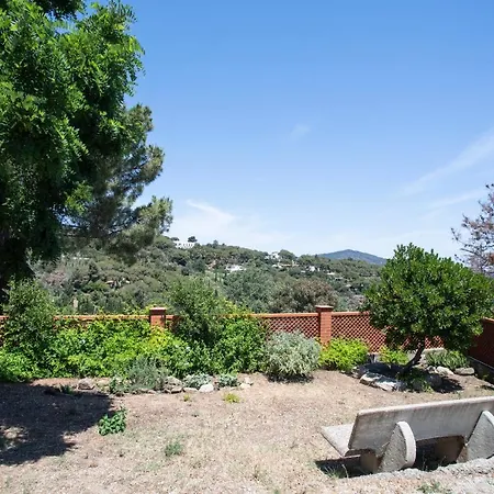 Ariel Vicino La Spiaggia Di Straccoligno *