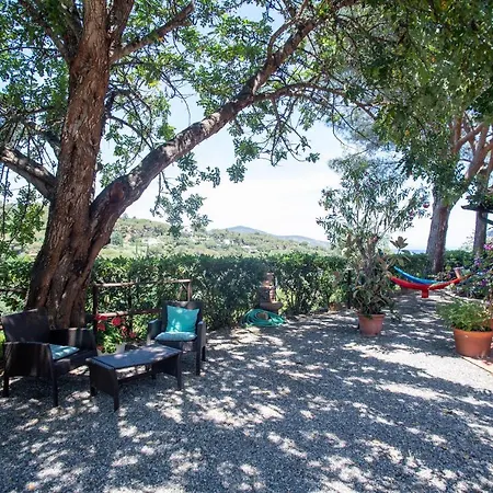 Ariel Vicino La Spiaggia Di Straccoligno Casa vacanze Capoliveri (Isola d'Elba)