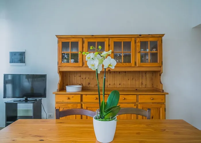 Ariel Vicino La Spiaggia Di Straccoligno * Capoliveri (Isola d'Elba)