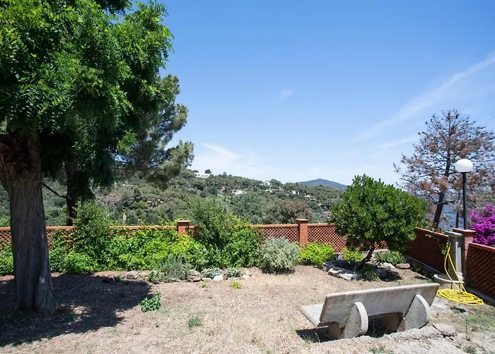 Ariel Vicino La Spiaggia Di Straccoligno *
