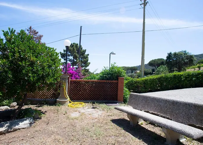 Ariel Vicino La Spiaggia Di Straccoligno *