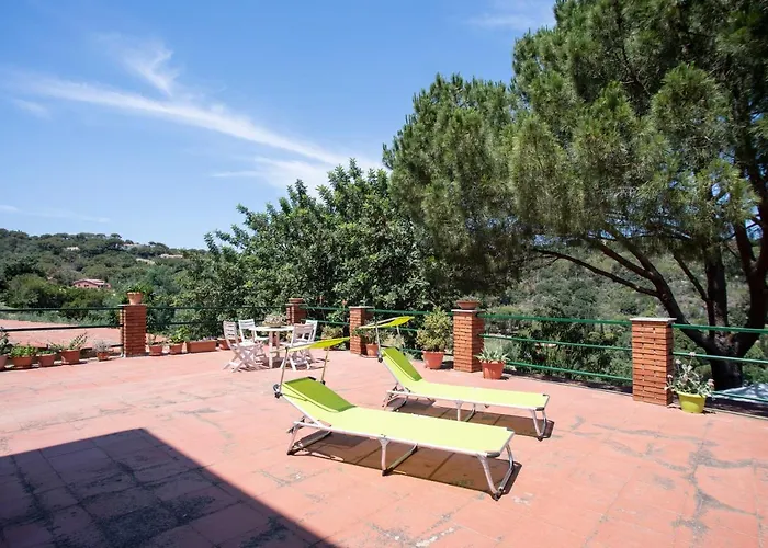 Ariel Vicino La Spiaggia Di Straccoligno *